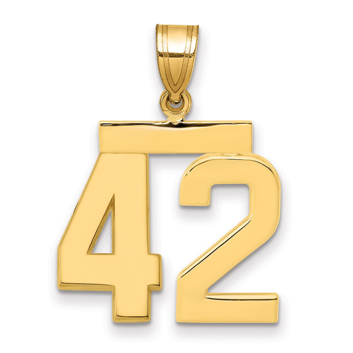 10K Yellow Gold Medium Polished Number 42 Charm