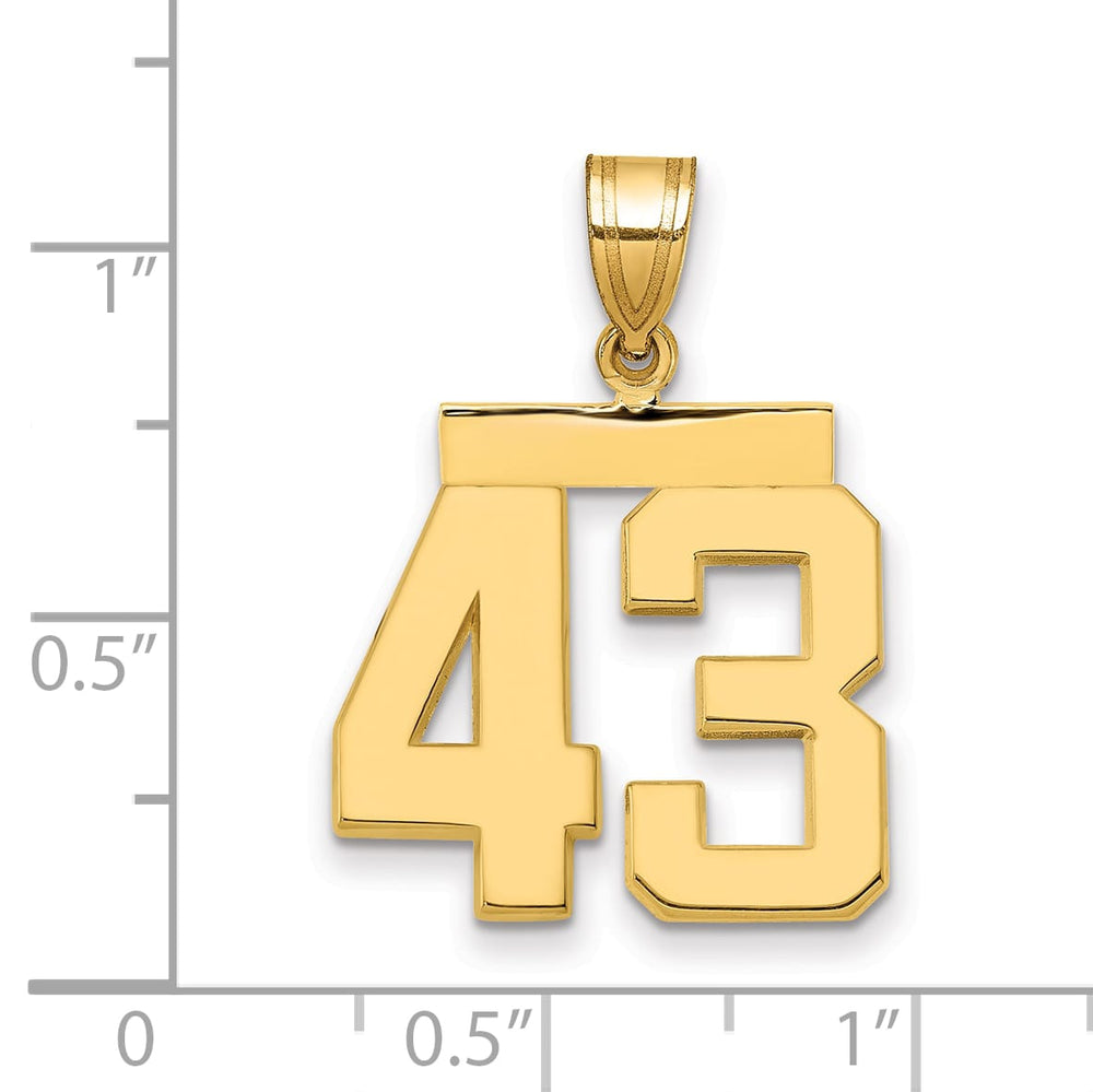 10K Yellow Gold Medium Polished Number 43 Charm