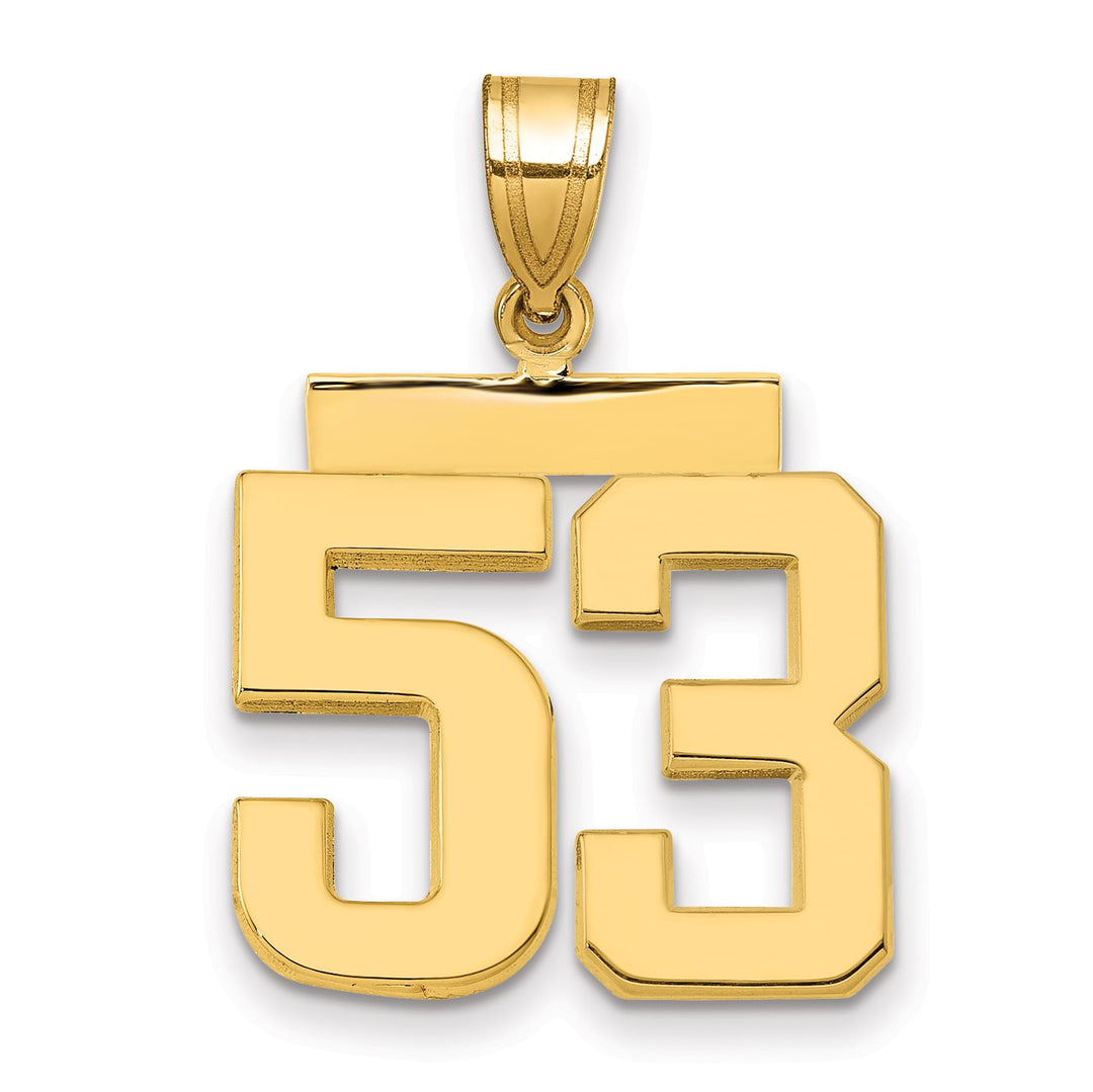 10K Yellow Gold Medium Polished Number 53 Charm