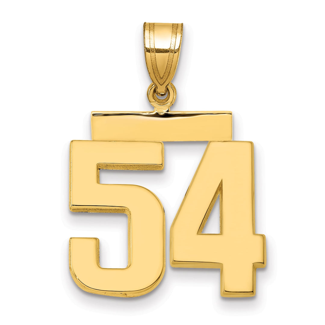 10K Yellow Gold Medium Polished Number 54 Charm
