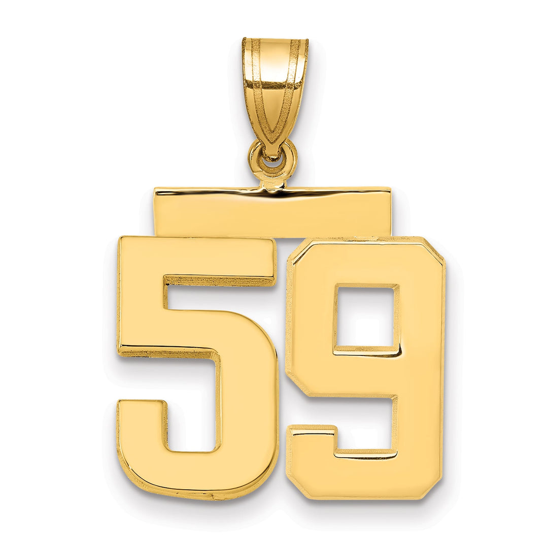 10K Yellow Gold Medium Polished Number 59 Charm