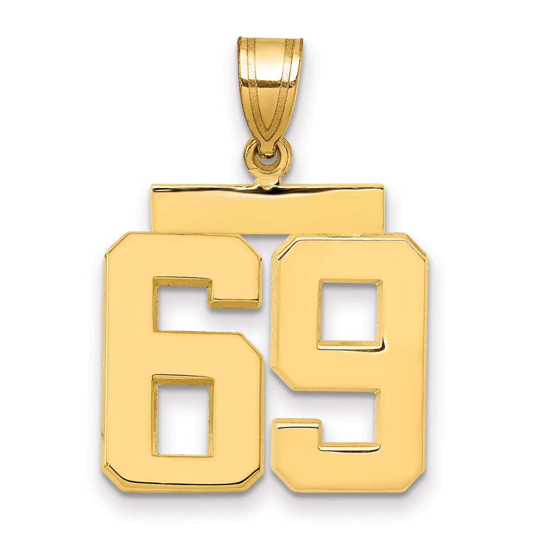 10K Yellow Gold Medium Polished Number 69 Charm