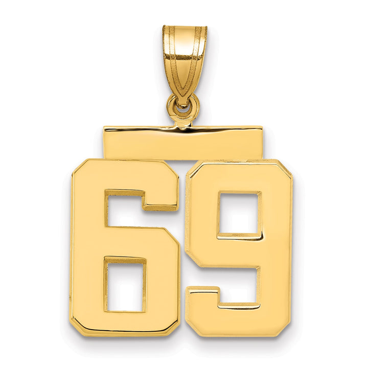 10K Yellow Gold Medium Polished Number 69 Charm