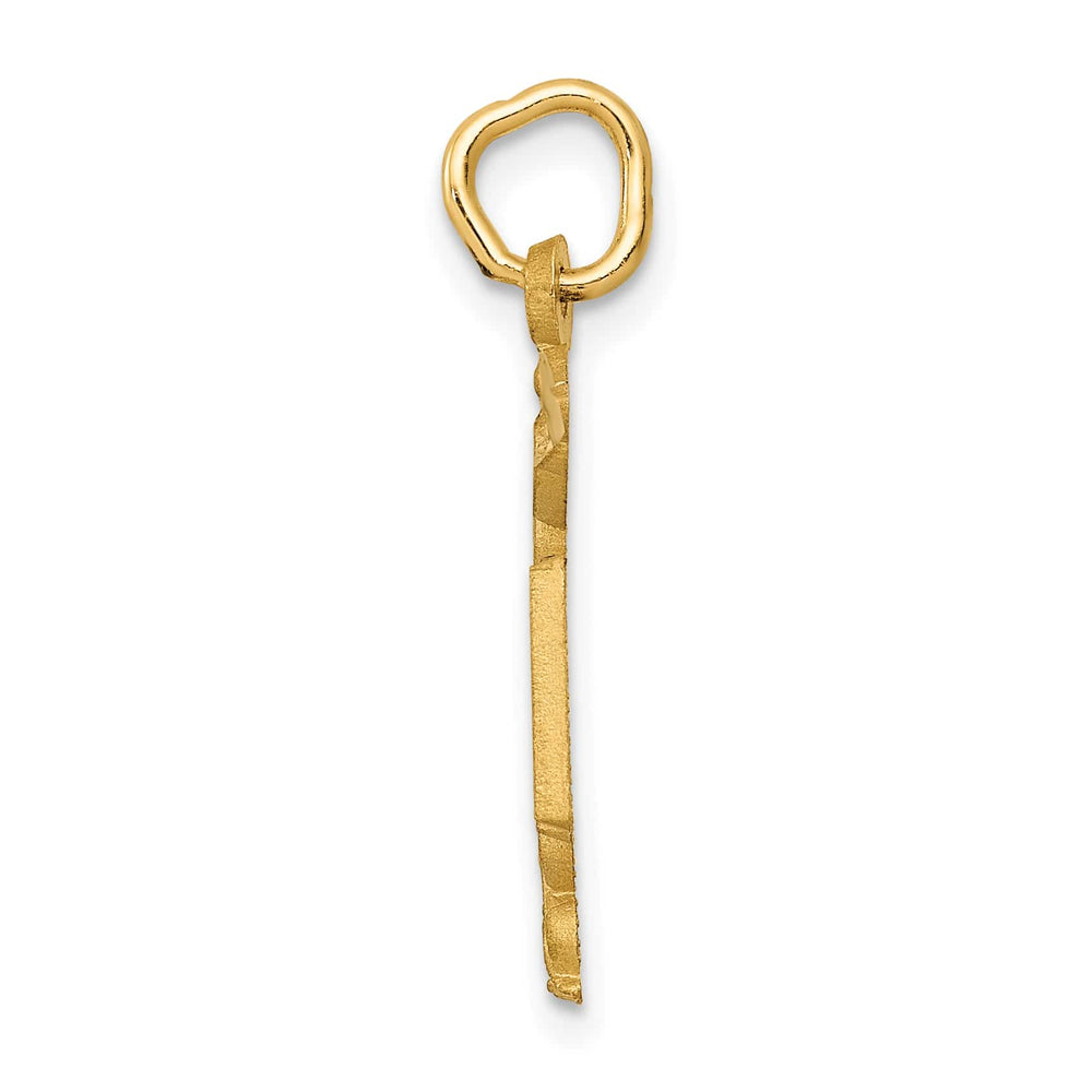 10K Yellow Gold Nurse RN Caduceus Charm