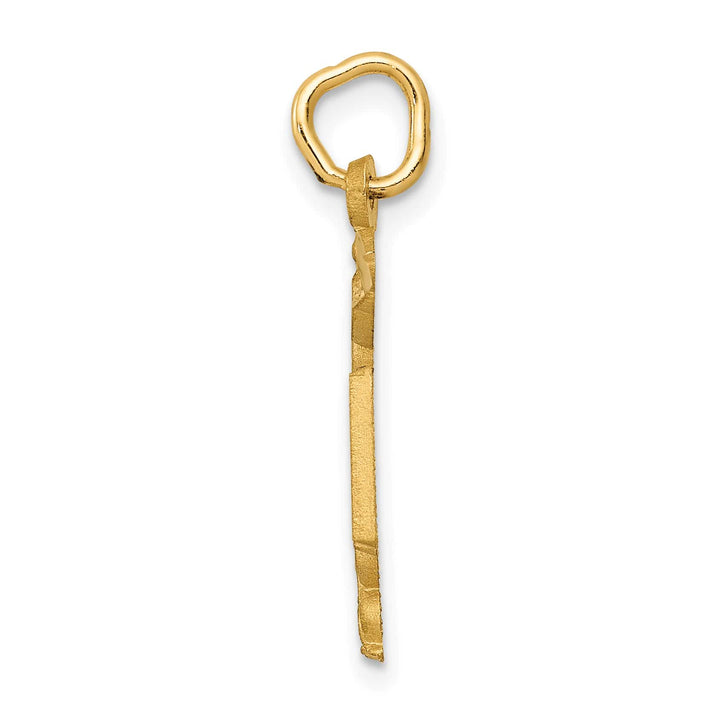 10K Yellow Gold Nurse RN Caduceus Charm