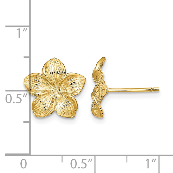 10k Yellow Gold Plumeria Flower Post Earrings, 11.5mm