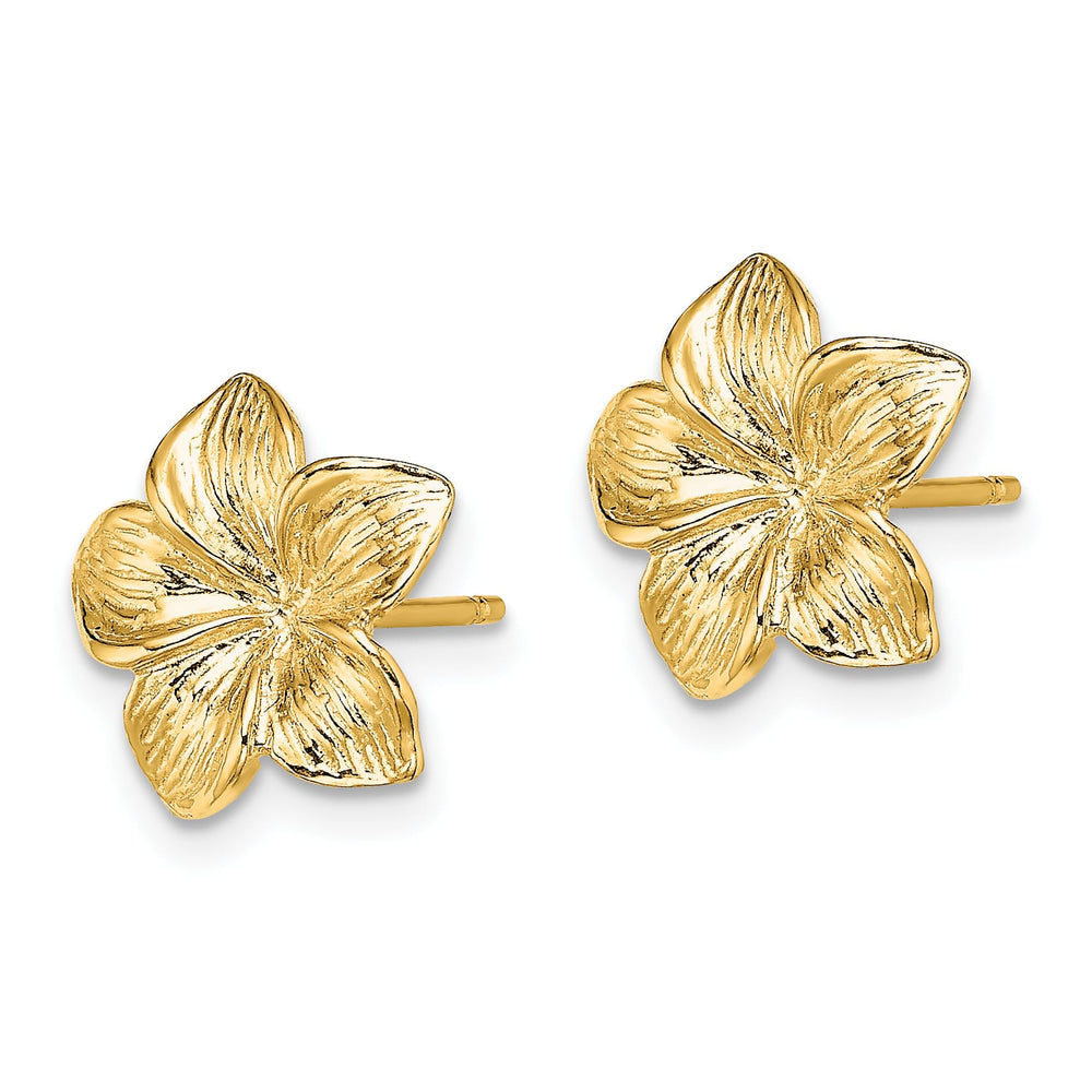10k Yellow Gold Plumeria Flower Post Earrings, 11.5mm