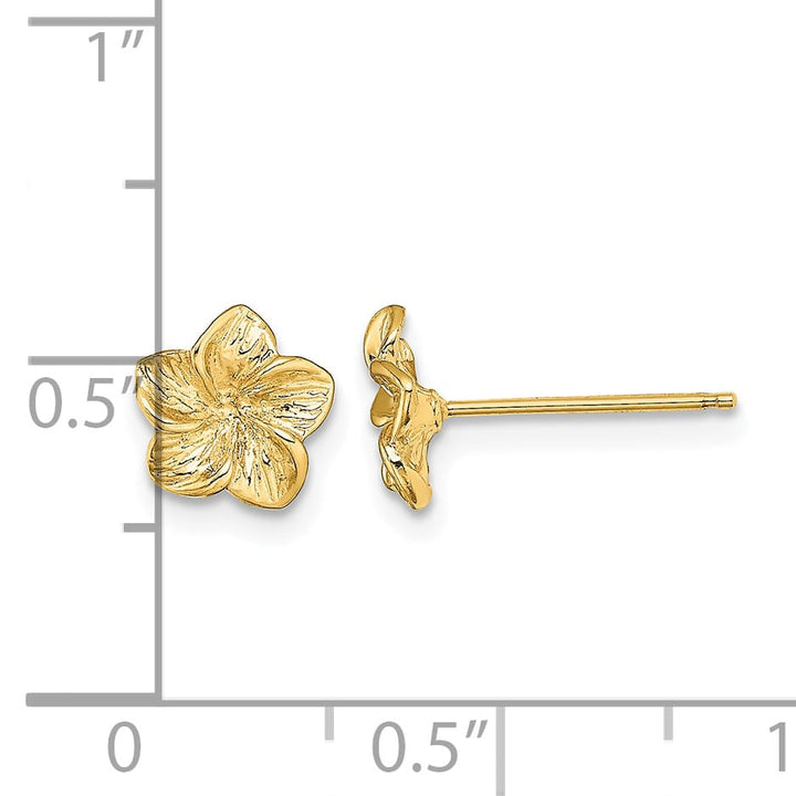 10k Yellow Gold Plumeria Flower Post Earrings, 7.65mm