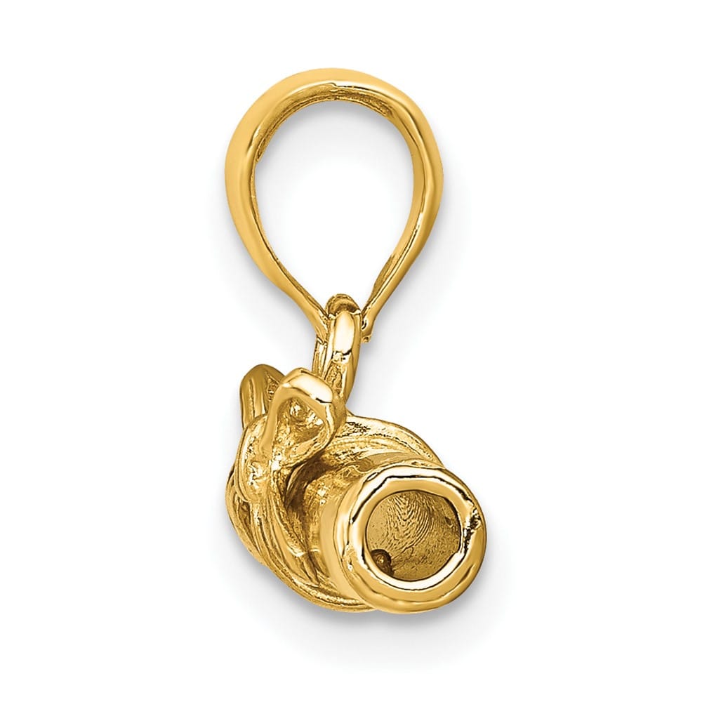 10K Yellow Gold Polished 3-D Medium Diploma Pendant