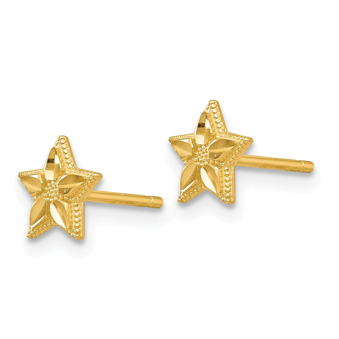 10k Yellow Gold Polished and Diamond-cut Star Post Earrings