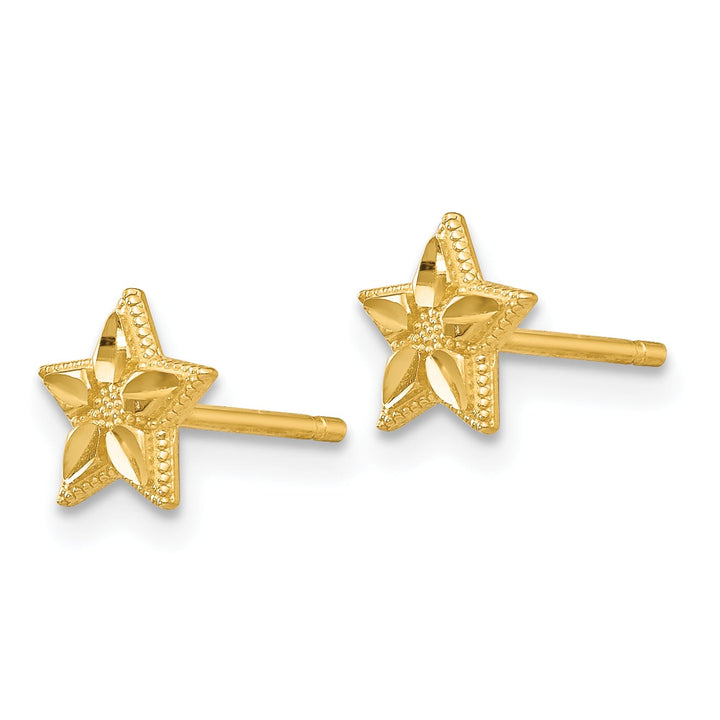 10k Yellow Gold Polished and Diamond-cut Star Post Earrings
