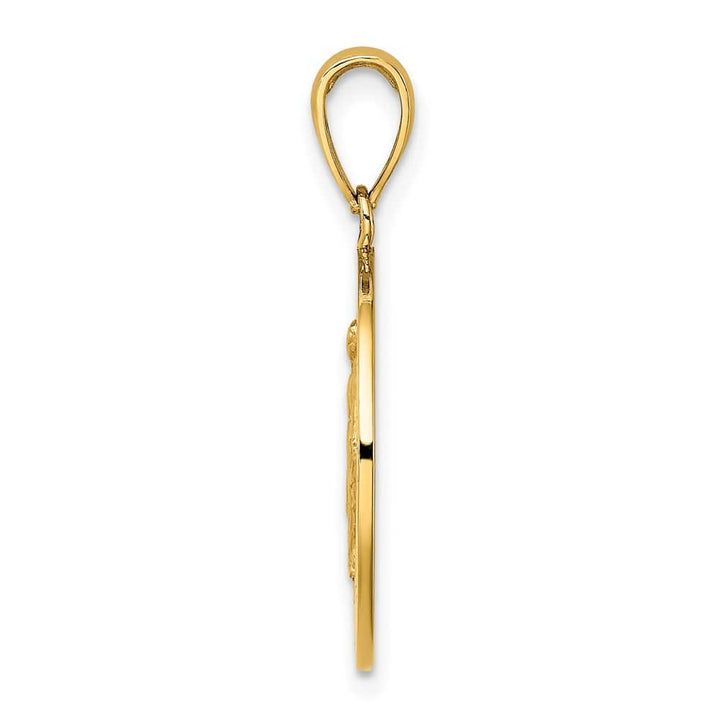 10K Yellow Gold Polished and Satin Round Miraculous Medal