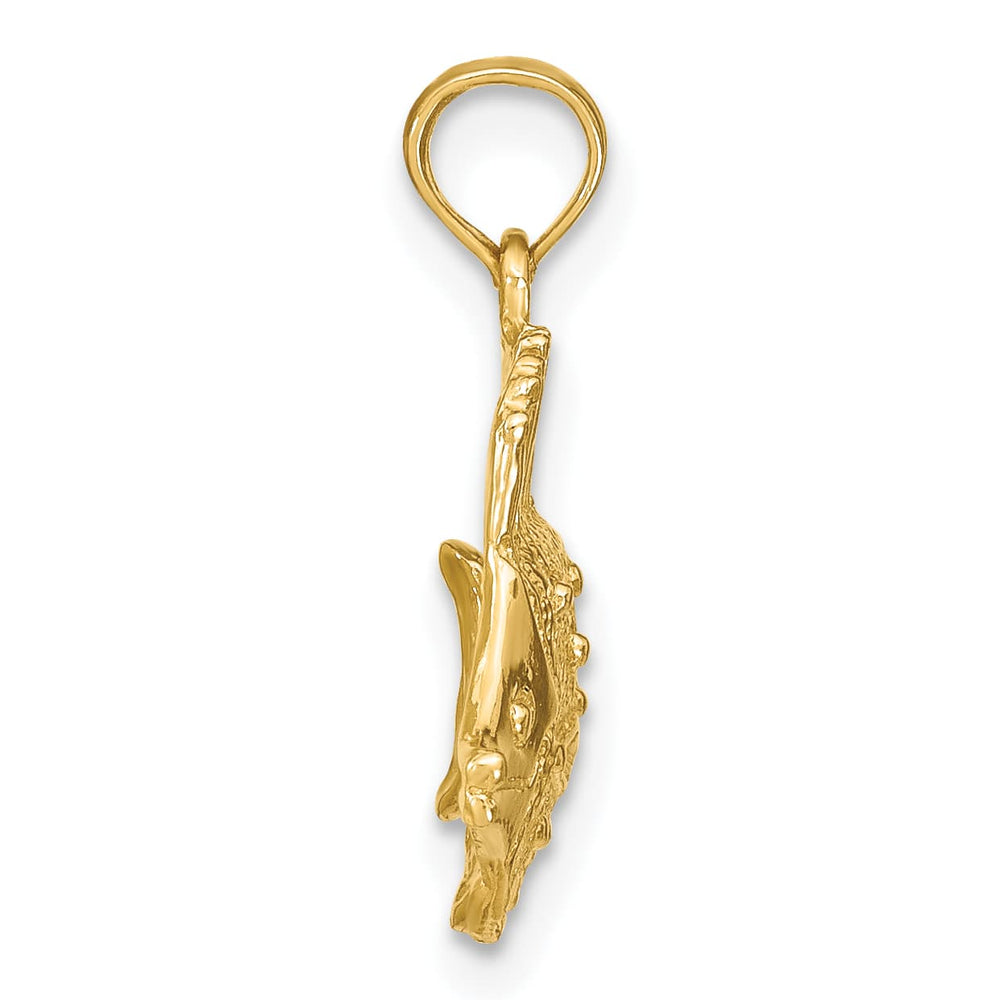 10K Yellow Gold Polished Engraved Butterfly Fish Charm