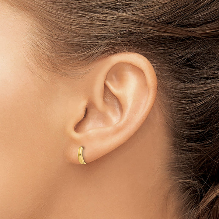 10k Yellow Gold Polished Hinged Earrings