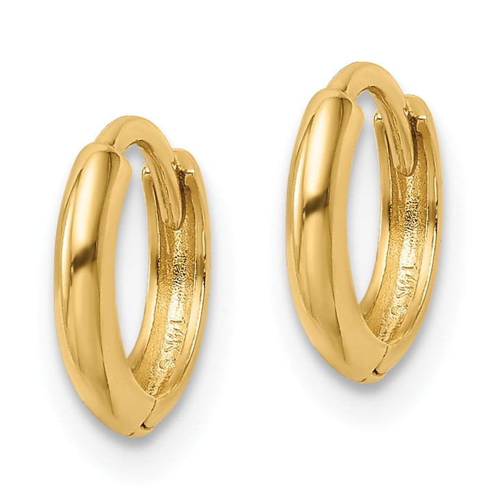 10k Yellow Gold Polished Hinged Hoop Earrings, 10mm