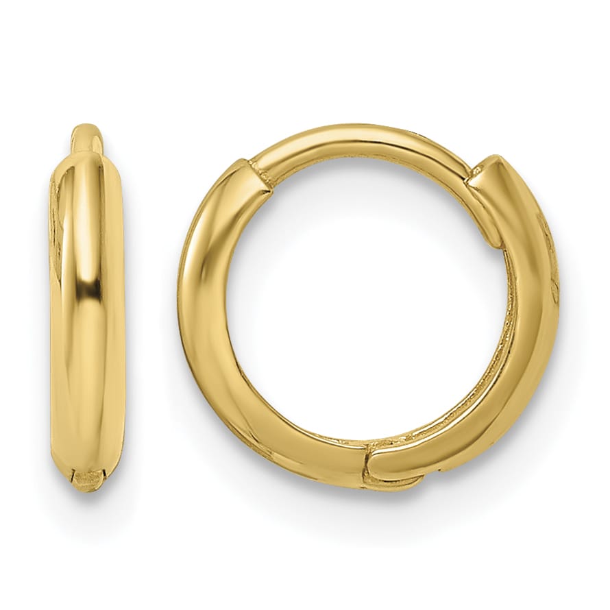10k Yellow Gold Polished Hinged Hoop Earrings, 10mm