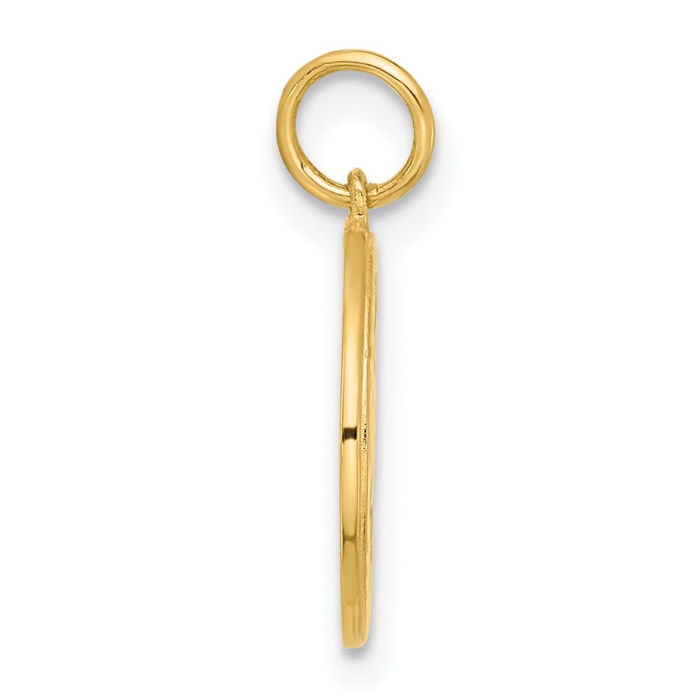10K Yellow Gold Polished Medium CZ Good Luck Medallion Charm