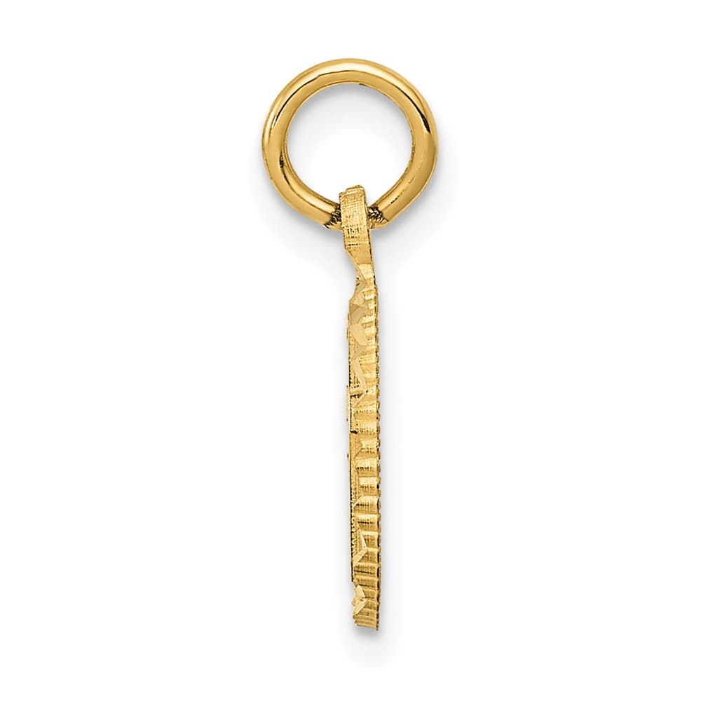 10K Yellow Gold Polished Medium Eternal Life Cross in Circle Charm