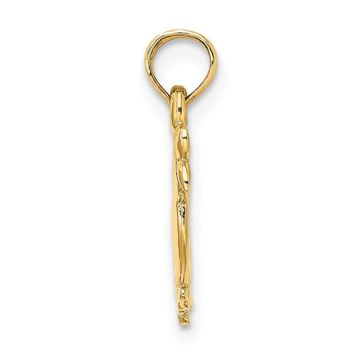 10K Yellow Gold Polished Medium Reversible Two Ducks Charm