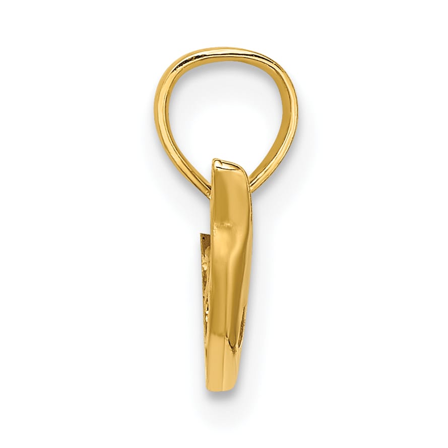 10K Yellow Gold Polished Mini Dolphin Charm