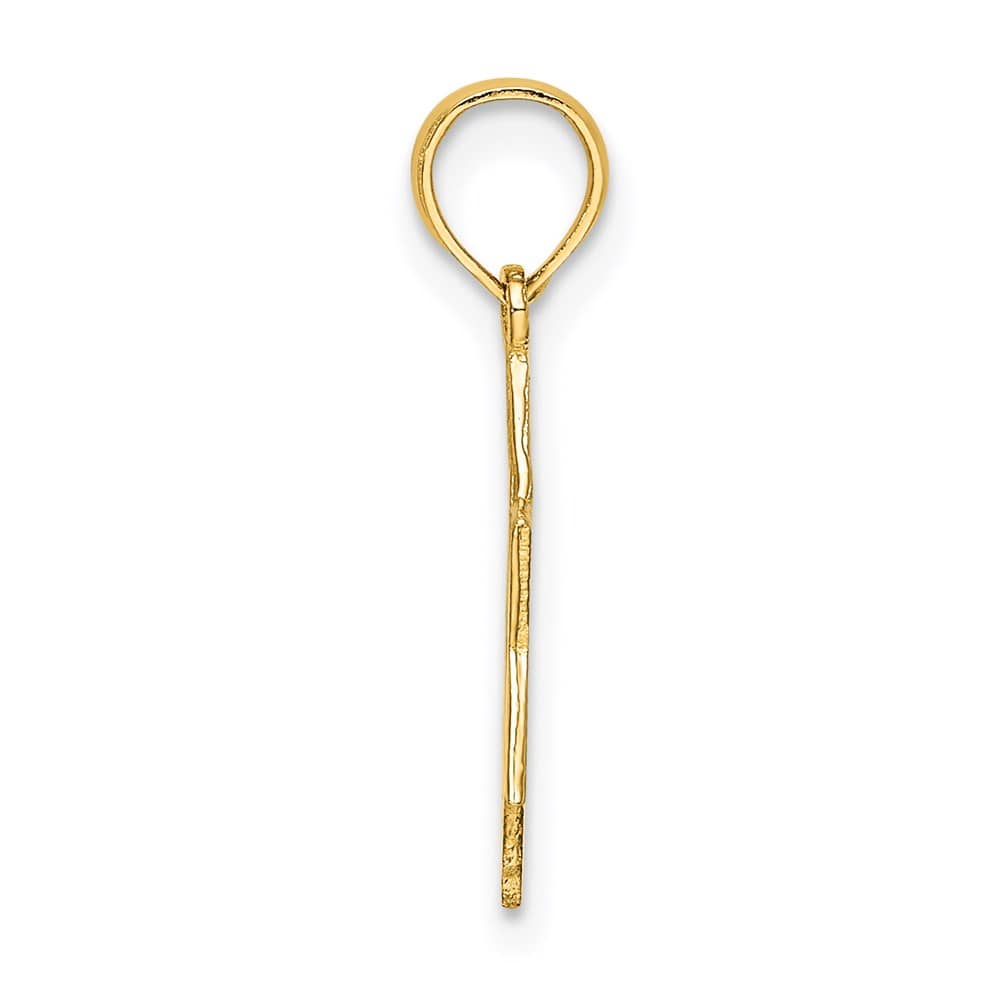 10K Yellow Gold Polished Star of David Charm