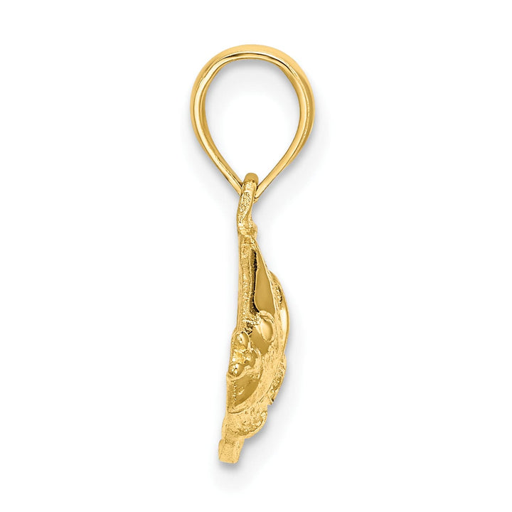 10K Yellow Gold Polished Textured Banner Fish Charm