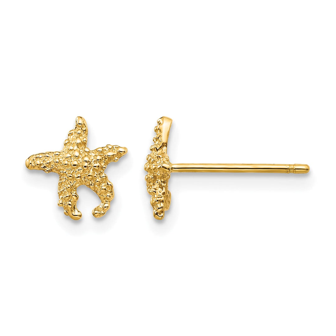 10k Yellow Gold Polished Textured Starfish Post Earrings