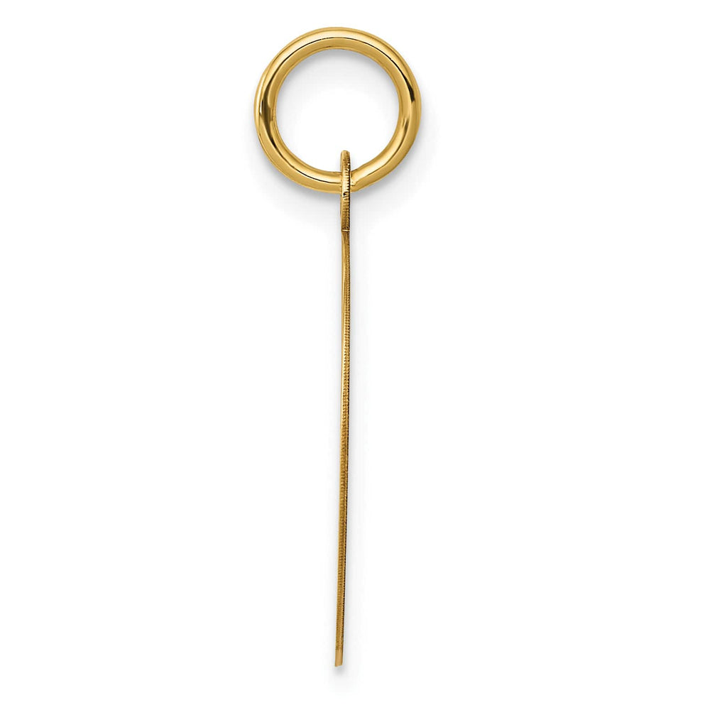 10K Yellow Gold Record Album Charm