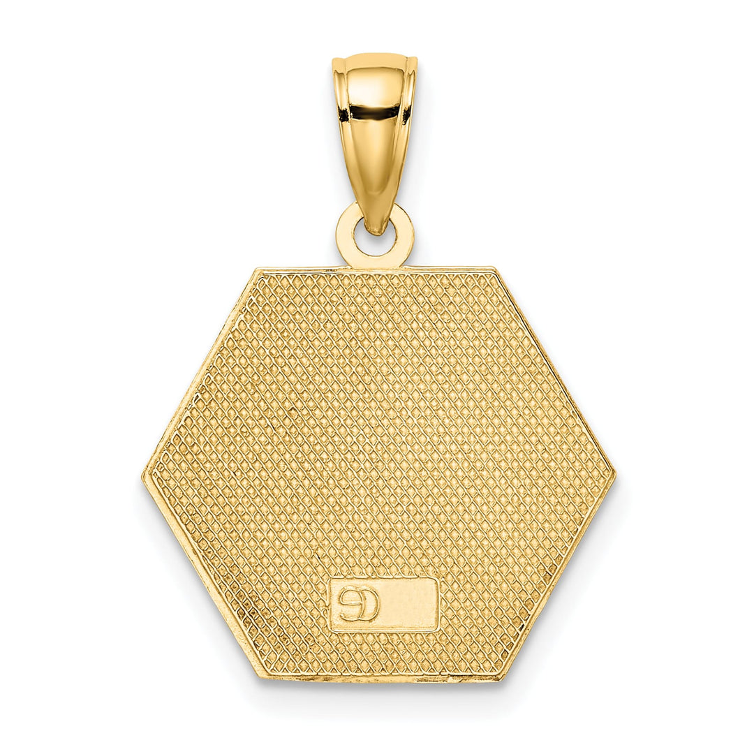 10K Yellow Gold Red Enameled Medical Symbol 16x18mm Hexagon Pendant