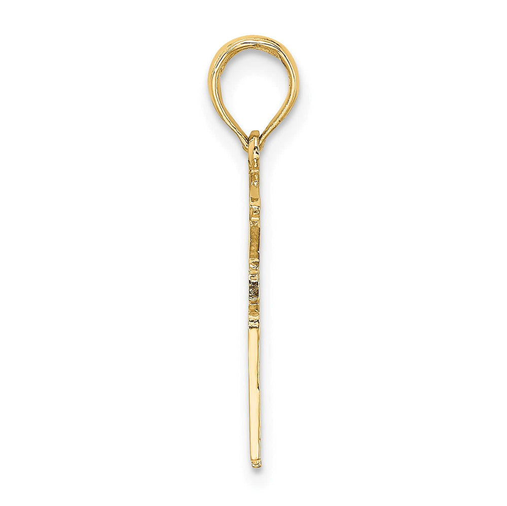 10K Yellow Gold Registered Nurse RN Charm