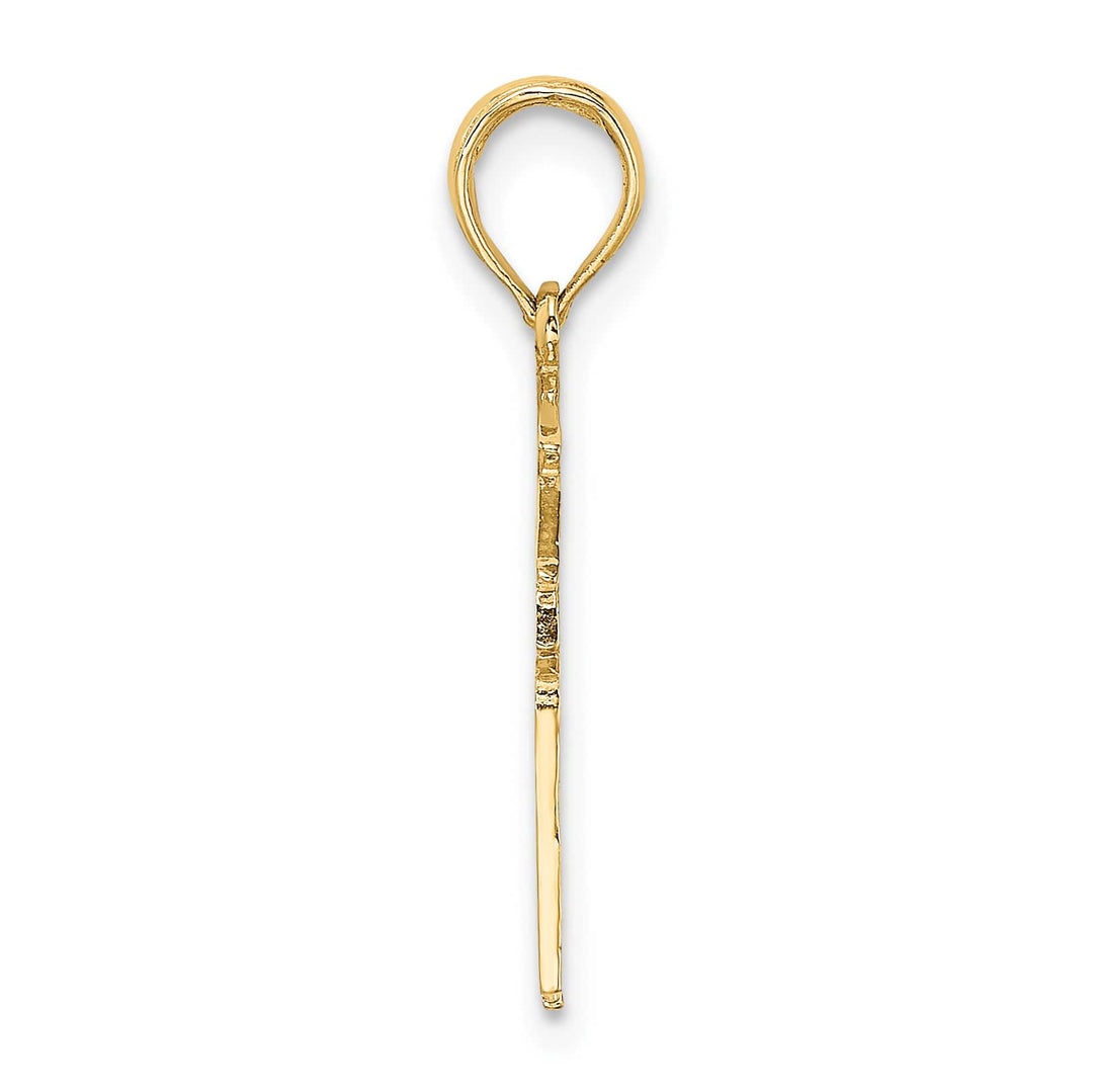 10K Yellow Gold Registered Nurse RN Charm