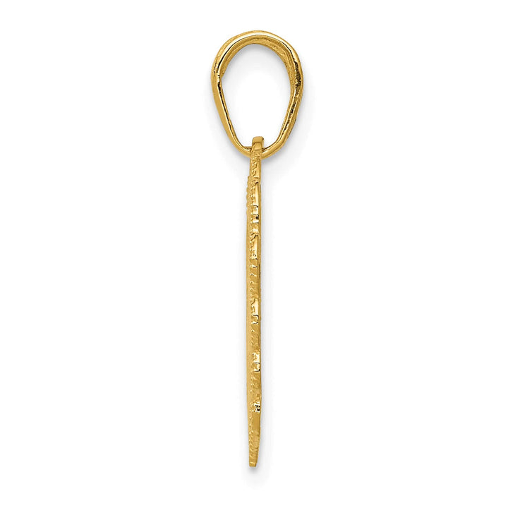 10K Yellow Gold Registered Nurse RN Heart Pendant