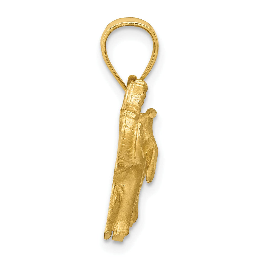 10K Yellow Gold Satin D.C. Elephant Pendant
