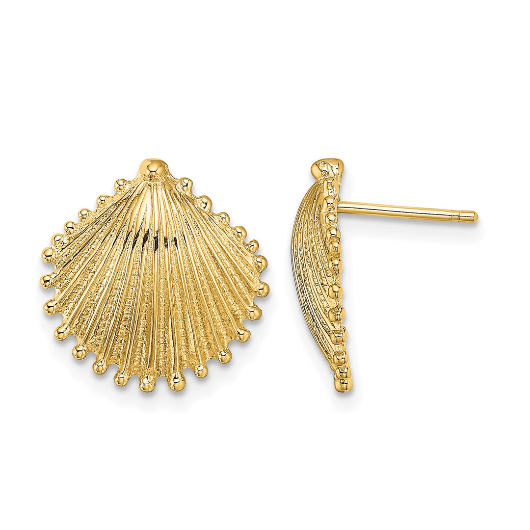 10k Yellow Gold Scallop Shell Post Earrings, 14.74mm