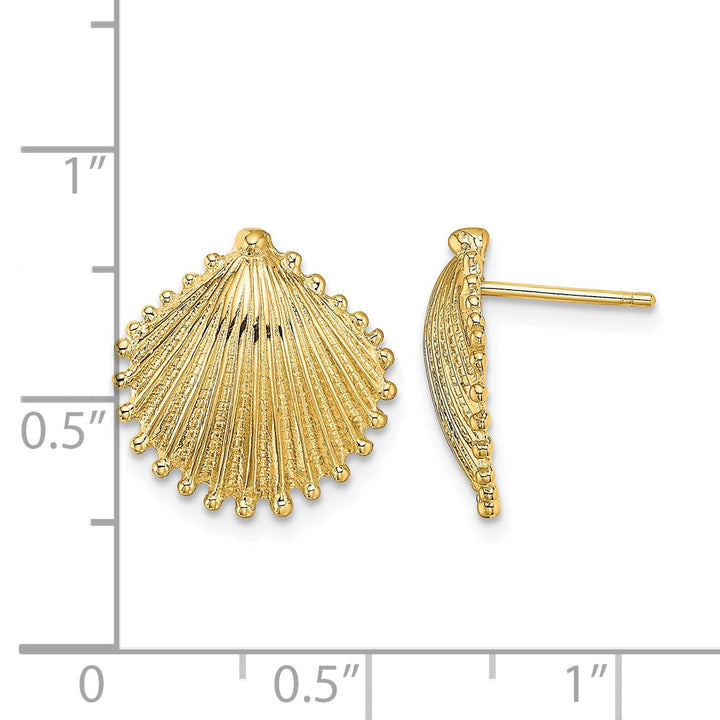 10k Yellow Gold Scallop Shell Post Earrings, 14.74mm