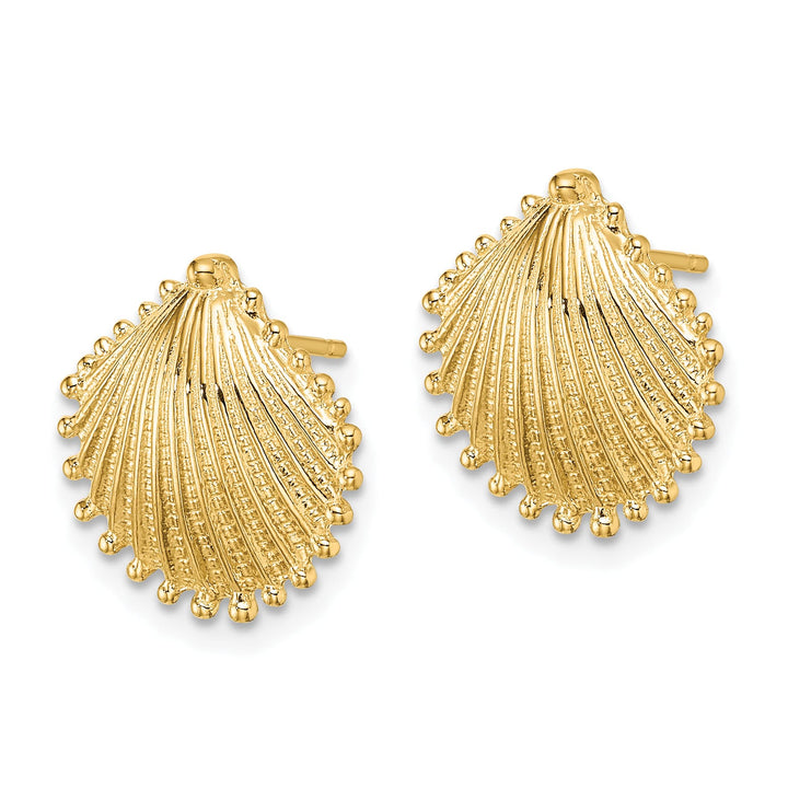 10k Yellow Gold Scallop Shell Post Earrings, 14.74mm