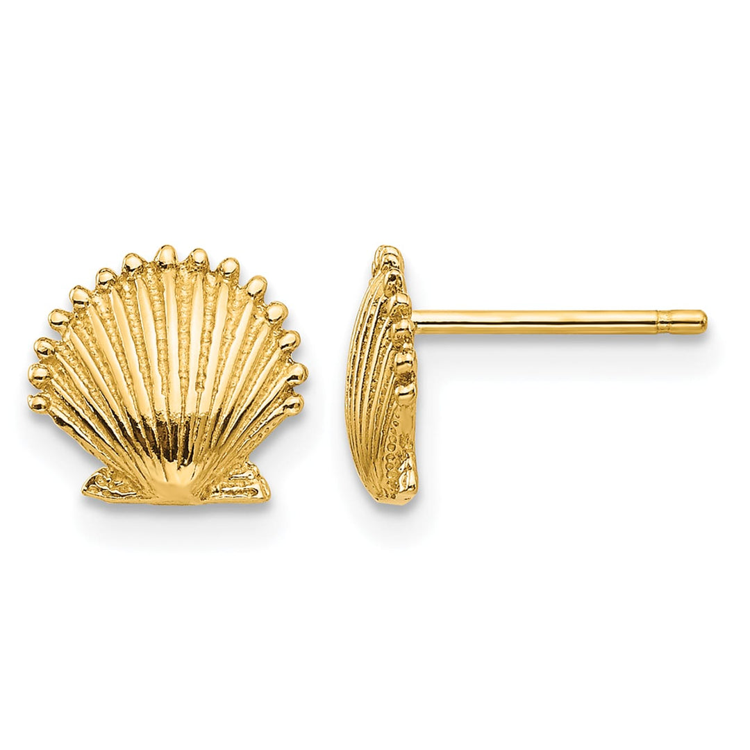 10k Yellow Gold Scallop Shell Post Earrings, 7.45mm