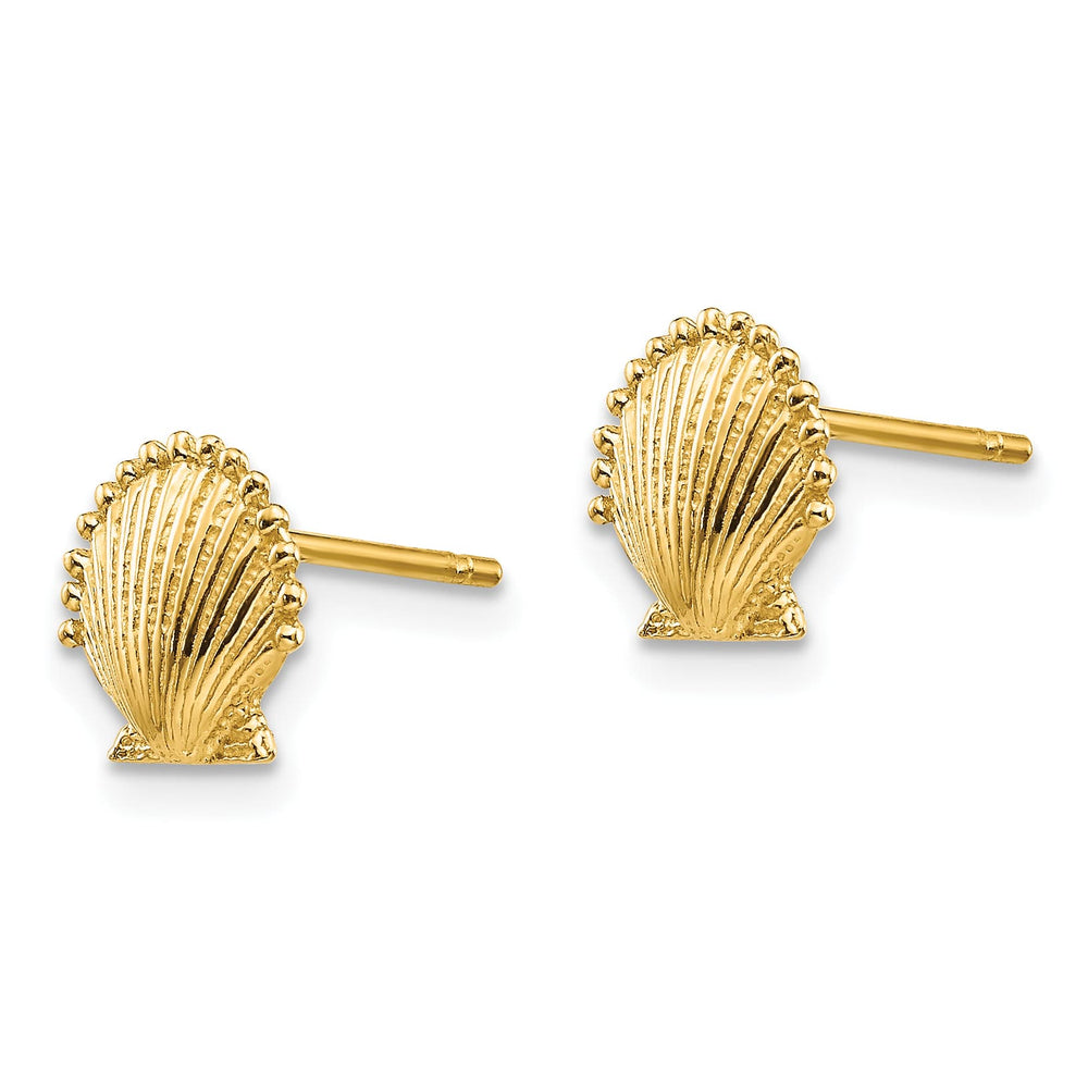 10k Yellow Gold Scallop Shell Post Earrings, 7.45mm
