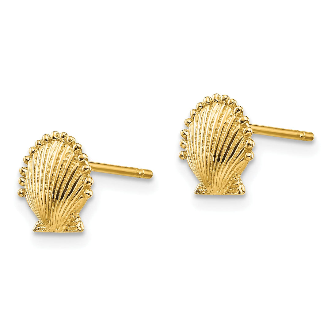 10k Yellow Gold Scallop Shell Post Earrings, 7.45mm