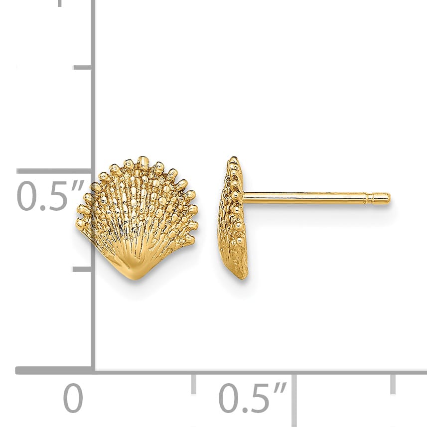 10k Yellow Gold Scallop Shell Post Earrings, 7.8mm