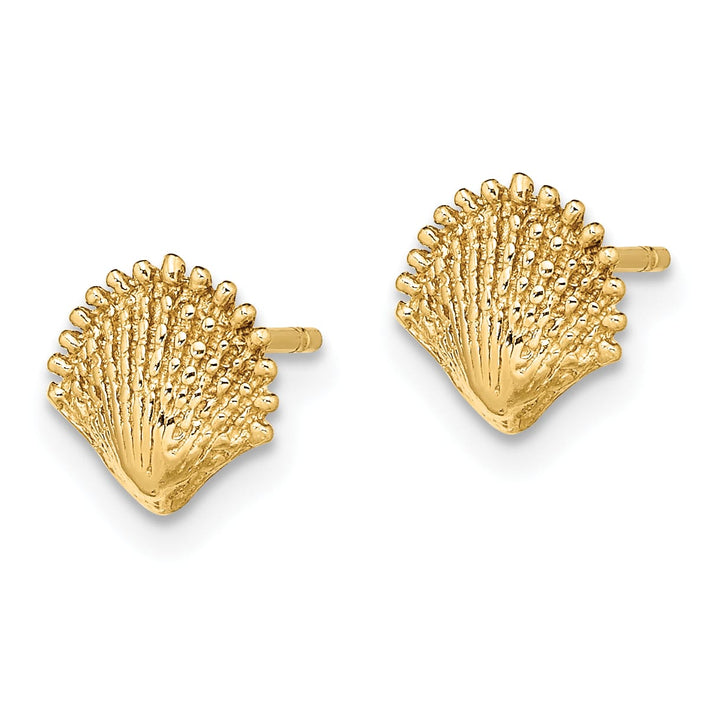 10k Yellow Gold Scallop Shell Post Earrings, 7.8mm
