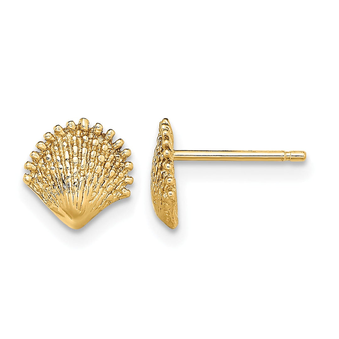 10k Yellow Gold Scallop Shell Post Earrings, 7.8mm