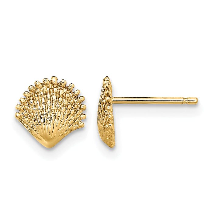10k Yellow Gold Scallop Shell Post Earrings, 7.8mm