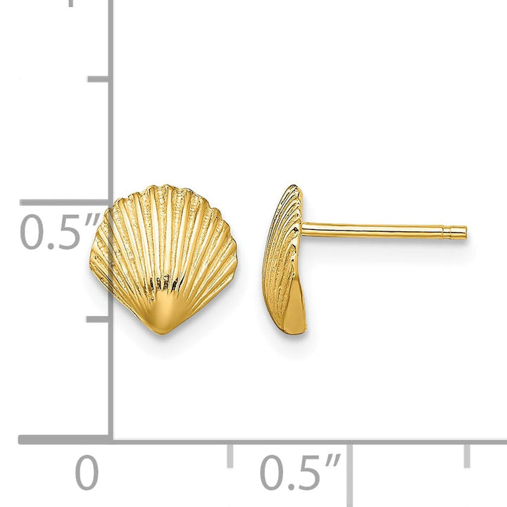 10k Yellow Gold Scallop Shell Post Earrings, 8mm