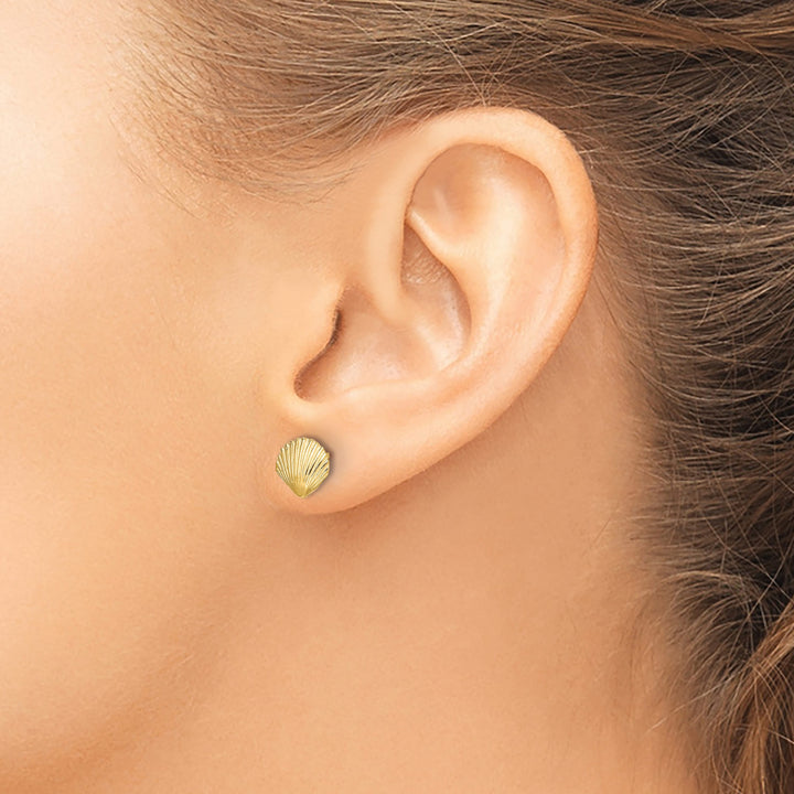 10k Yellow Gold Scallop Shell Post Earrings, 8mm