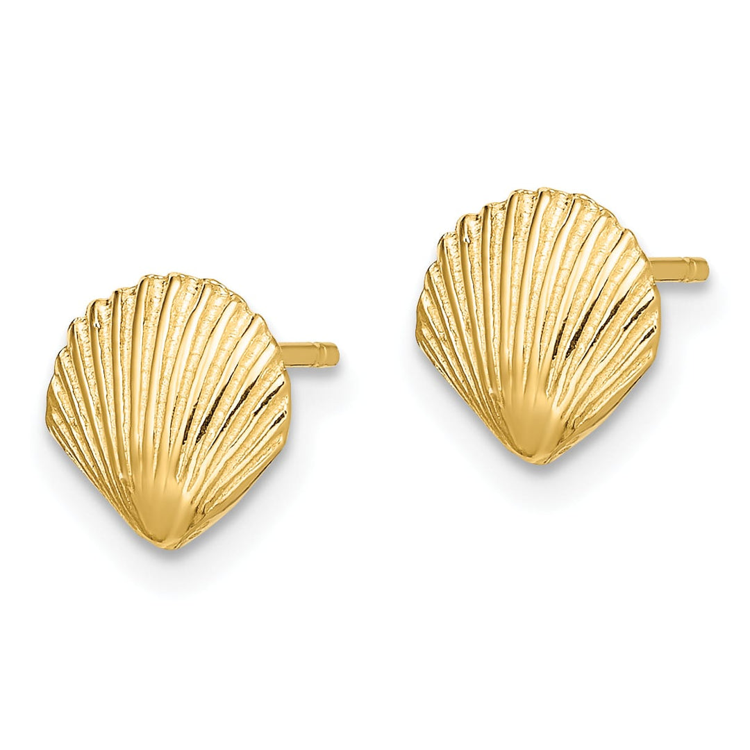 10k Yellow Gold Scallop Shell Post Earrings, 8mm
