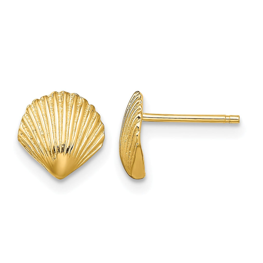 10k Yellow Gold Scallop Shell Post Earrings, 8mm