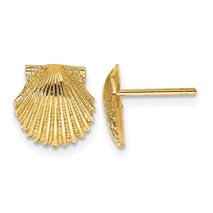 10k Yellow Gold Scallop Shell Post Earrings, 9mm