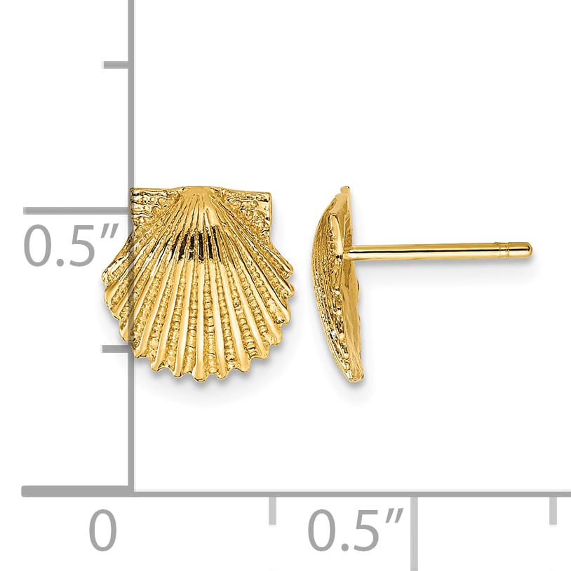 10k Yellow Gold Scallop Shell Post Earrings, 9mm