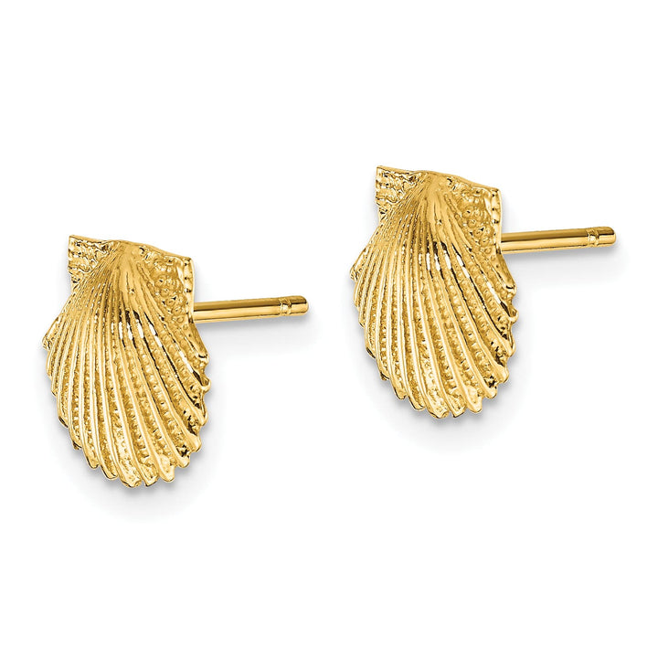 10k Yellow Gold Scallop Shell Post Earrings, 9mm